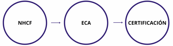 NHCF - 2 - Editada NHCF - 2 - Editada
